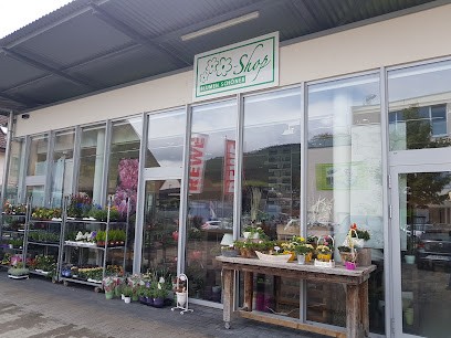Blumen Schöner, Blumenladen in Haslach im Kinzigtal