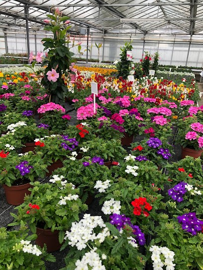 Gärtnerei Hubert Hoffmann, Reichelsheim, Blumenladen in Reichelsheim