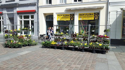 PROFiFLORA, Blumenladen in Güstrow