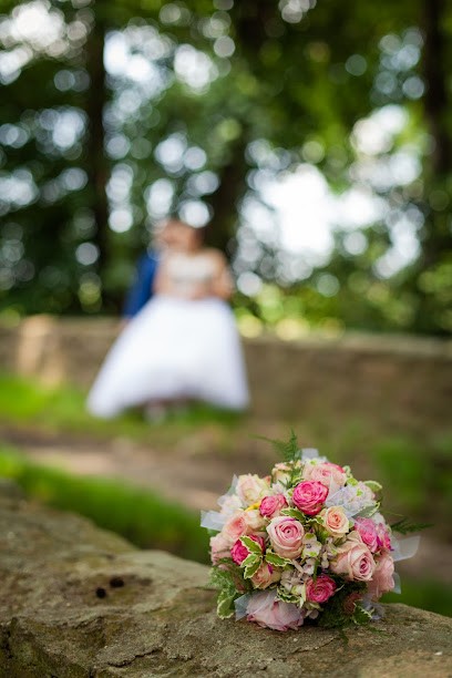 TTS - FLORISTIK, Blumenladen in Plessa