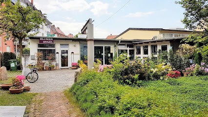 Blumen Stahl GmbH, Blumenladen in Freiburg im Breisgau