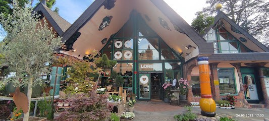 Floristik Lorenz GmbH & Co. KG - Eventfloristik Für Jeden Anlass, Blumenladen in Limburg