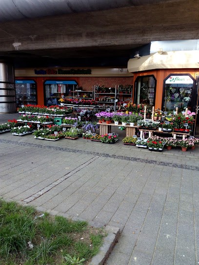 Fleur In Inh. Jaroslaw Jasinski, Blumenladen in Düsseldorf