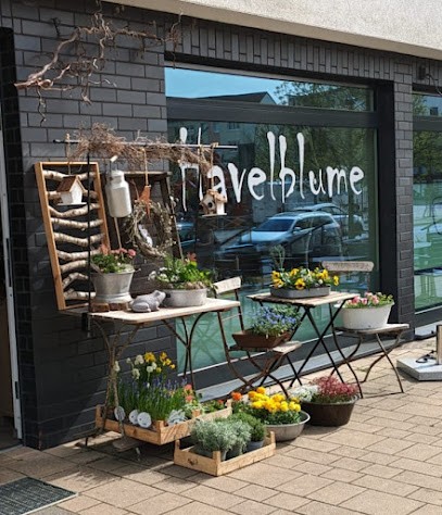 Havelblume, Blumenladen in Rathenow