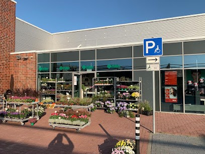 Blumen-Garten-Miller, Blumenladen in Heide