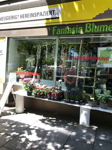 Fantasia Blumenland, Blumenladen in Sindelfingen