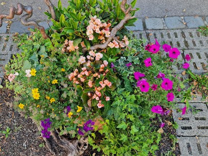 Blumen Sohr, Blumenladen in Augsburg