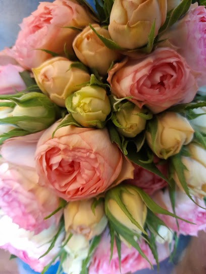 Blumenstudio Larrelt, Blumenladen in Emden