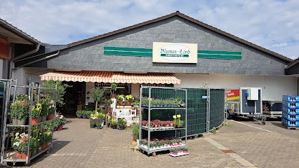 Blumen-Land, Blumenladen in Ulmen