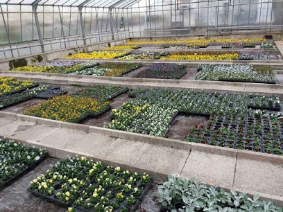 Gärtnerei Maria Söllner, Blumenladen in Neunburg vorm Wald