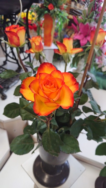 Blumen Bremer, Blumenladen in Schiffdorf