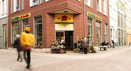Sundflor Altstadtlädchen, Blumenladen in Stralsund