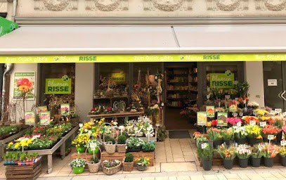 Blumen Risse Blumenladen Minden, Blumenladen in Minden