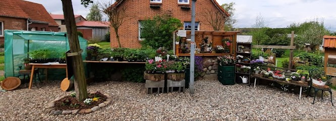 FlorisTisch, Blumenladen in Warnow