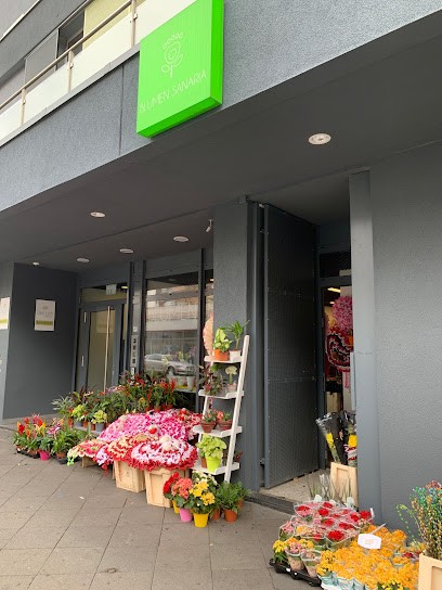 Blumen Sanaria, Blumenladen in Aachen