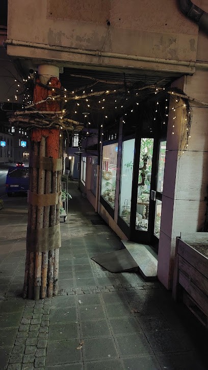 Blumen Held, Blumenladen in Treuchtlingen