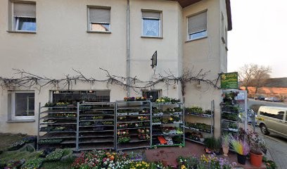 Gabi's Blumenladen, Blumenladen in Oschersleben