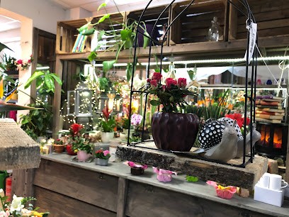 Blumen Bieniek, Blumenladen in Heidenau