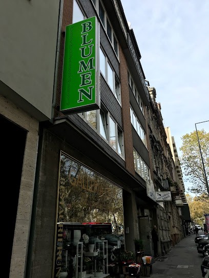 Galleria d'arte Floristik, Blumenladen in Aachen