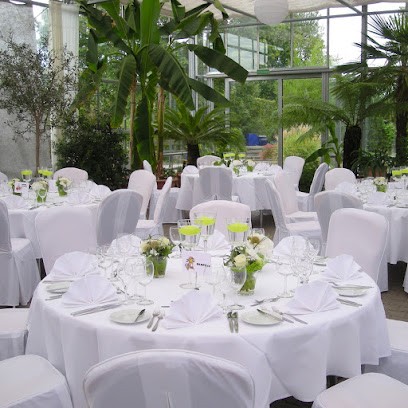 Blumen Alber, Blumenladen in Filderstadt