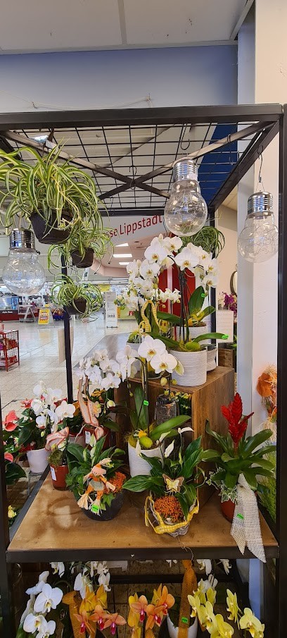 Piet Meinen Blumenshop (van Der Lem GmbH), Blumenladen in Lippstadt