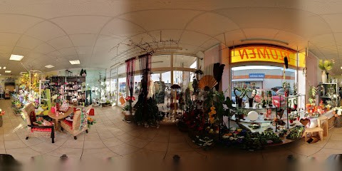 Dagmar Götz Blumenfachgeschäft (Blumen Galerie), Blumenladen in Eggenfelden
