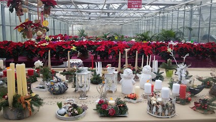 Gärtnerei Knibbe, Blumenladen in Landsberg