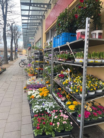 Blumen und Pflanzen, Blumenladen in Zeuthen