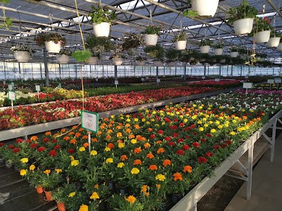 Gärtnerei und Pflanzencenter Fröhlich, Blumenladen in Rathenow