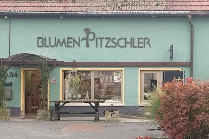 Blumen Pitzschler - Inh. Sandra Fandrich, Blumenladen in Zeitz