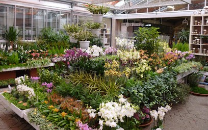 Pflanzen & Floristik Weth, Blumenladen in Schweinfurt