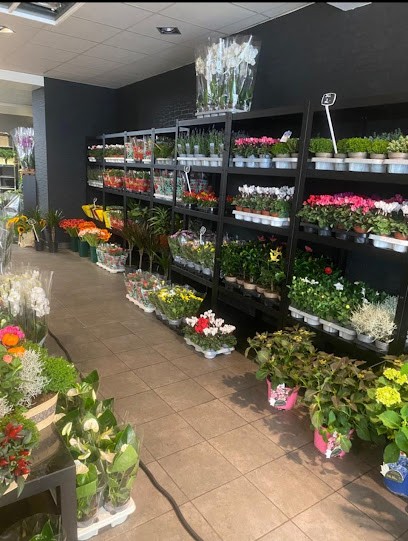 World of Flowers, Blumenladen in Siegburg