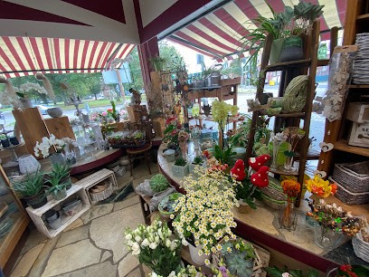 Blumenhaus Herrmann Blumenhaus An Der Ehrensäule, Blumenladen in Hanau