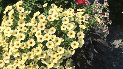 Der Blumenkasten UG (haftungsbeschränkt), Blumenladen in Wesendorf