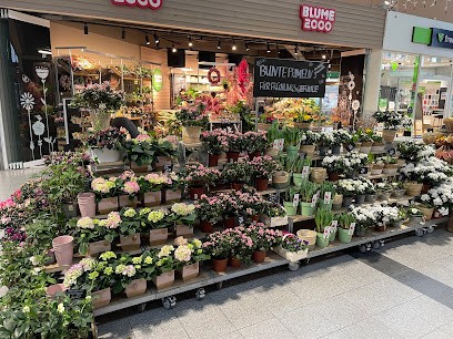 BLUME2000 Bentwisch, Blumenladen in Bentwisch