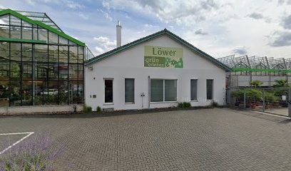 Löwer Blumen, Blumenladen in Mömlingen