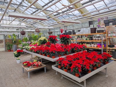 Jehmlich Floristik E.K., Blumenladen in Olbernhau