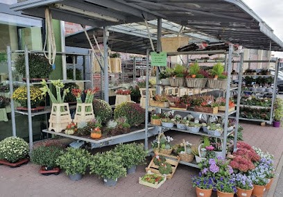 Blumenparadies Hasselt, Blumenladen in Goch