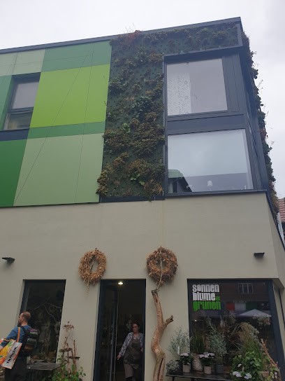 Sonnenblume Im Grünen Schwerin, Blumenladen in Schwerin
