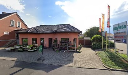 Glaubig I., Blumenladen in Wittenberg