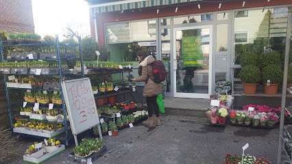Blumenladen Holländer, Blumenladen in Marburg
