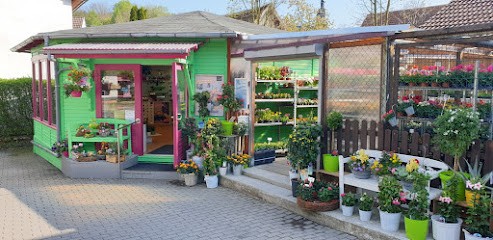 Marios Blumenparadies, Blumenladen in Geratal