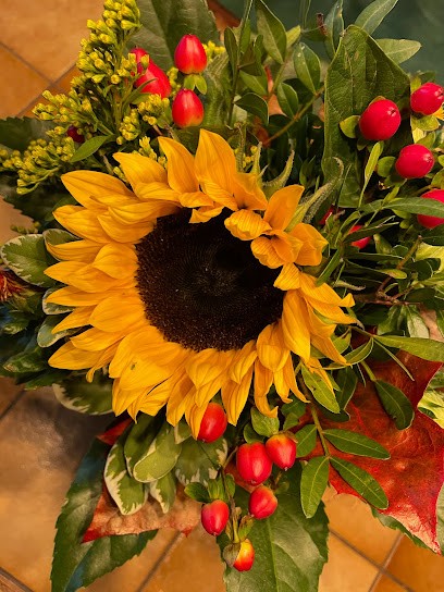 Schnittblumen & Topfpflanzen Handels GmbH Floristik 99, Blumenladen in Wernigerode