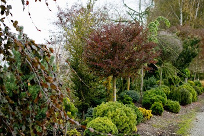 Pelikan Floristik, Blumenladen in Emersacker