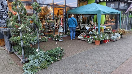 Blumen Und Pflanzen, Blumenladen in Schwielowsee
