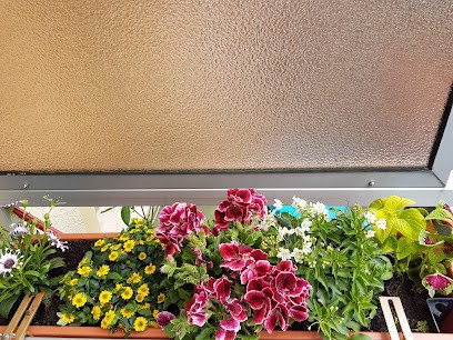 Anja Mackrodt, Blumenladen in Ebeleben