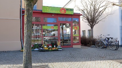 Blumenoase Kerstin Berger, Blumenladen in Kühlungsborn