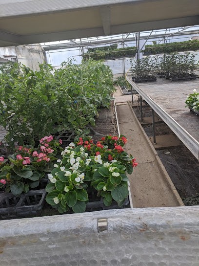 Gärtnerei Knöll GbR, Blumenladen in Neckartailfingen