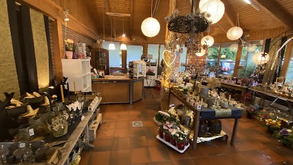 Pflanzen - Oehlert, Blumenladen in Lütjensee