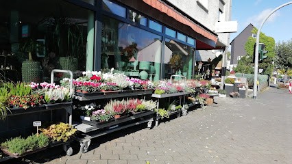 Blumenhaus & Gärtnerei Schwehn Inh. Axel Schwehn, Blumenladen in Eschenburg
